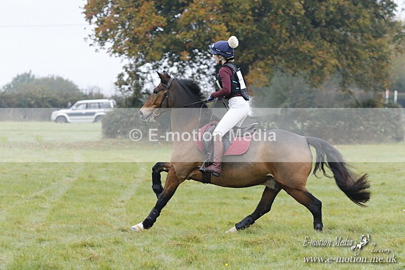 WWHT 181020 WWHT 181020 017 - WWEC Novice Restricted (0.80m) 18/10/20