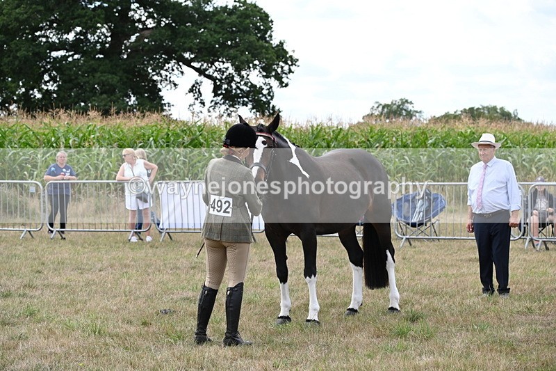 WJ6_6221 - Class 19 In-hand Veterans (Uploaded correct folder)