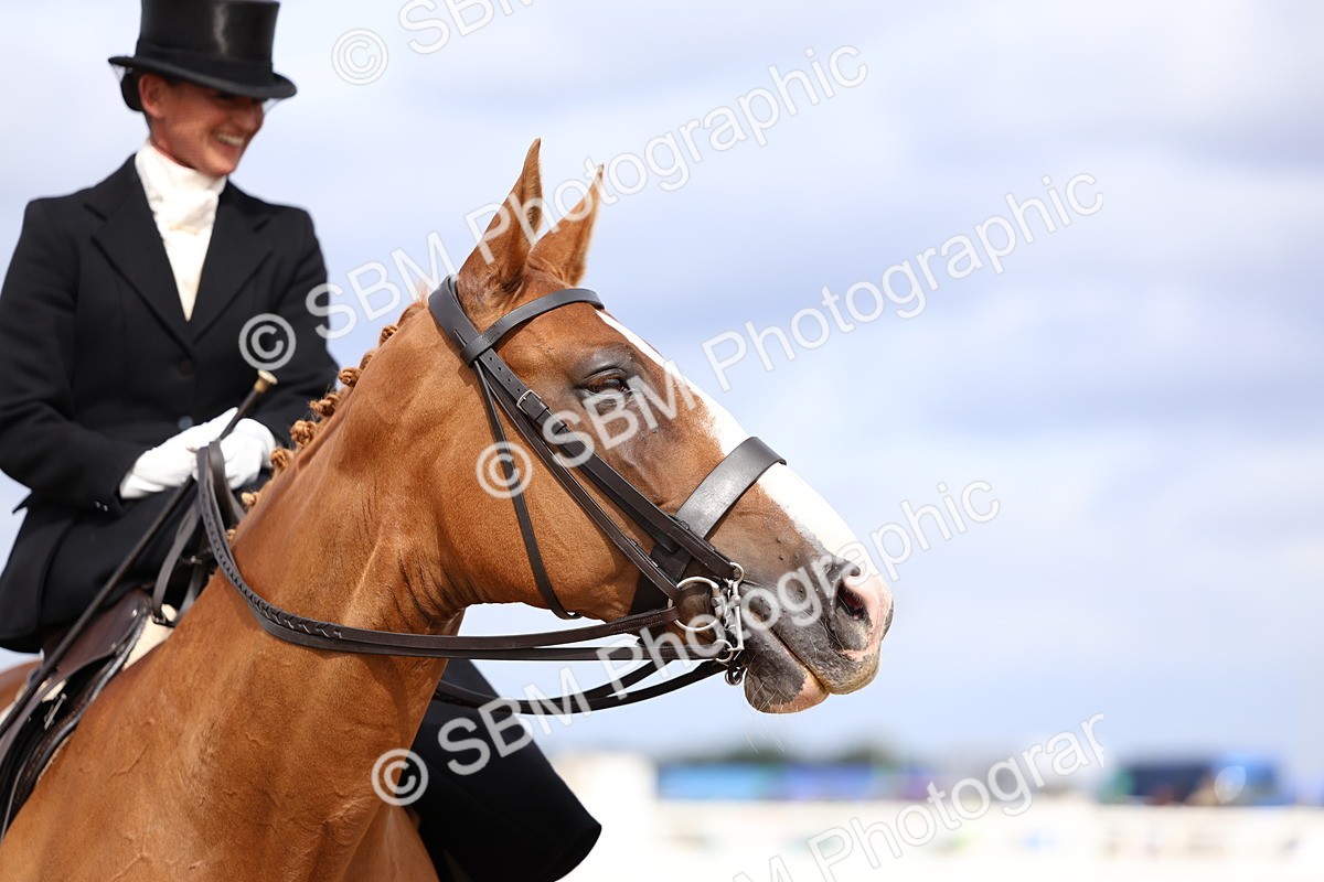 SBM_03336 - Class 23 - SSA Classical (any age)