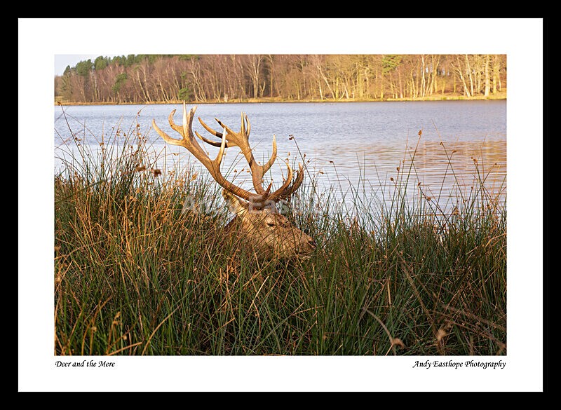 Tatton-4a - Tatton Park, Knutsford, Cheshire