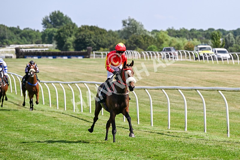 080726-Race 5-Sugarpiehoneybunch-7554 - Race 5 16.00pm Bet At racingtv.com Handicap