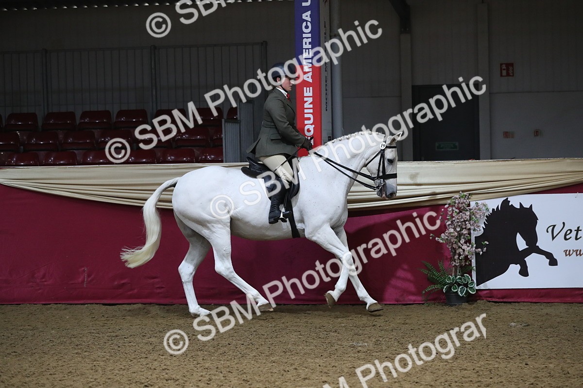 SBM_10380 - Class 102 Equitation (best rider) Adult