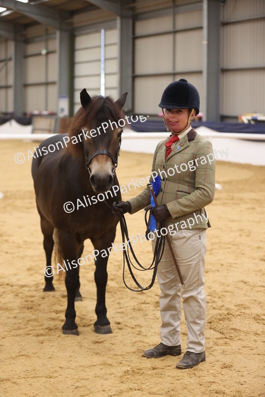 20260913-1152 - Class 110 - Bred In Other In Hand