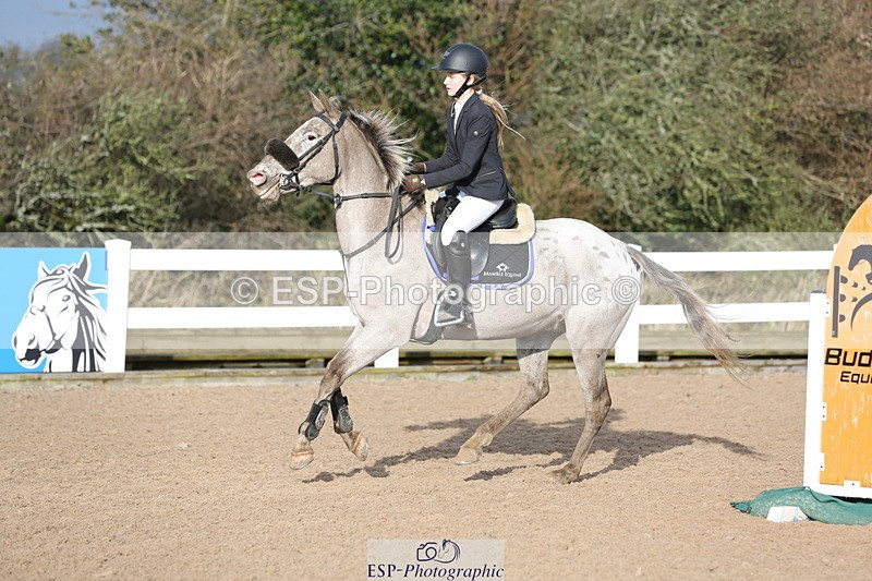 240211A-105628-01975 - Cls 2 Pony British Noivice & 80cm Open