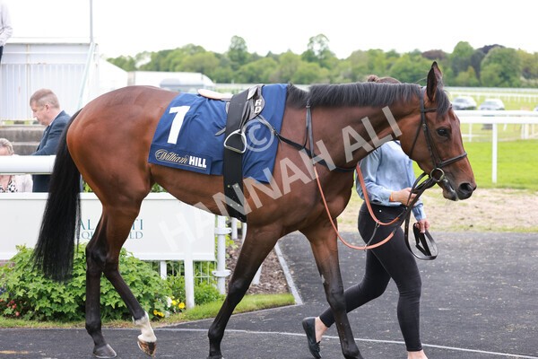 yr21052022r4-4 - Race 4: 3:30pm William Hill Brontë Cup