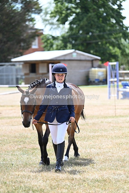 WJ7_2153 - Class 5 Most Handsome Gelding (up to 14.2hh) in hand