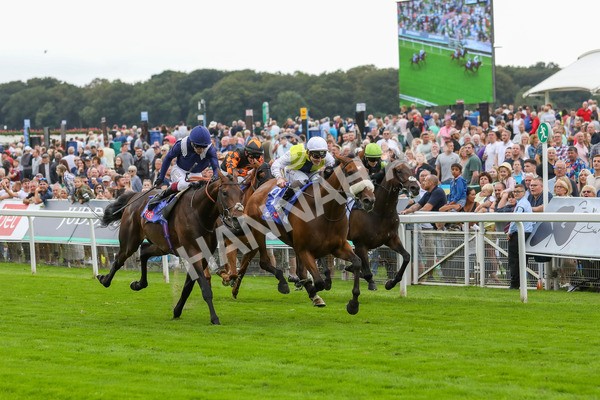 230823-Race 5-Forza Orta-4462 - Race 5 4.10pm Sky Bet Stayers Handicap