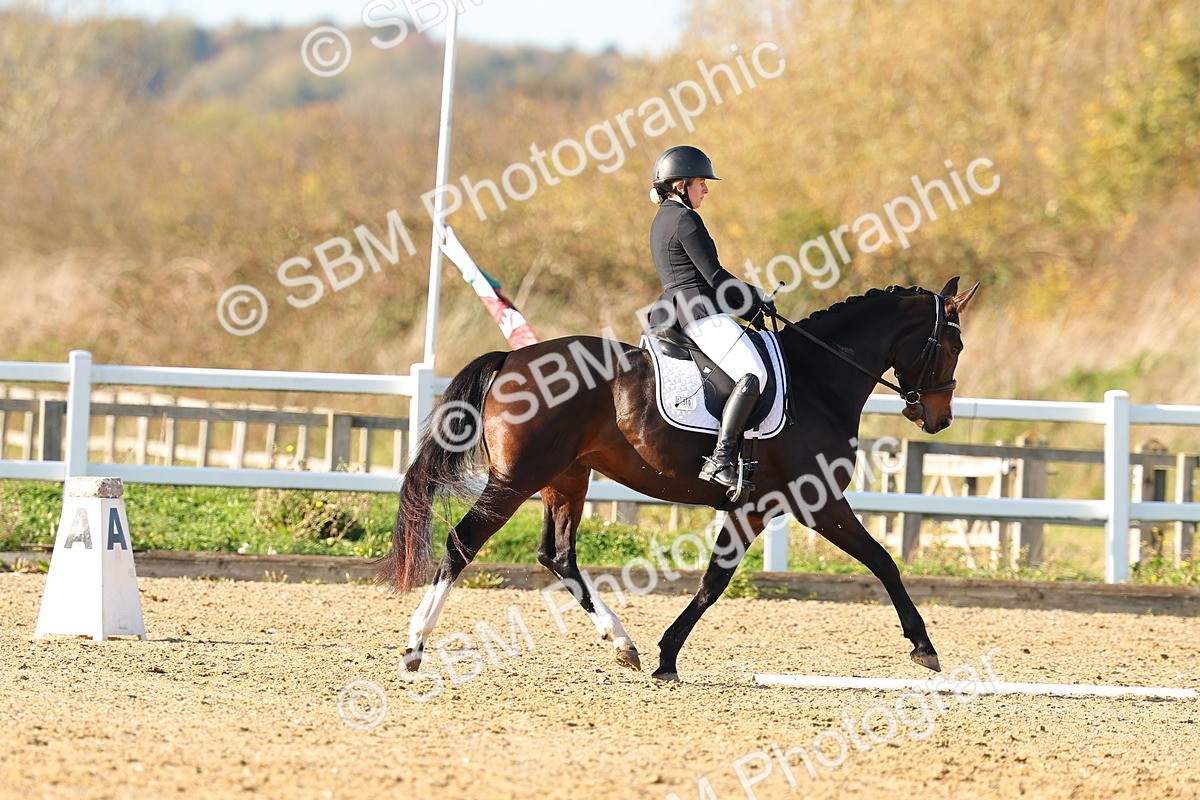 SBM_001499 - Medium 3