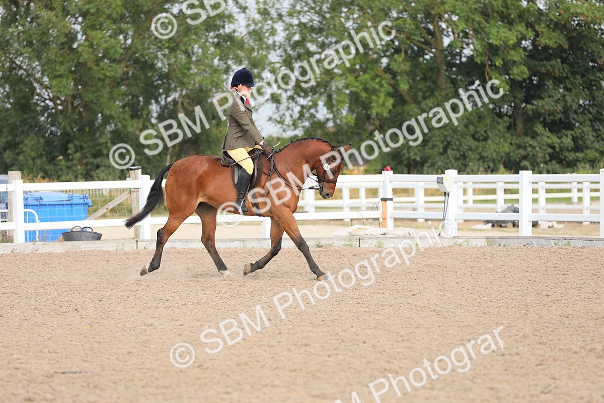 SBM_10866 - Class 304 Ridden Part Bred Horse/Pony
