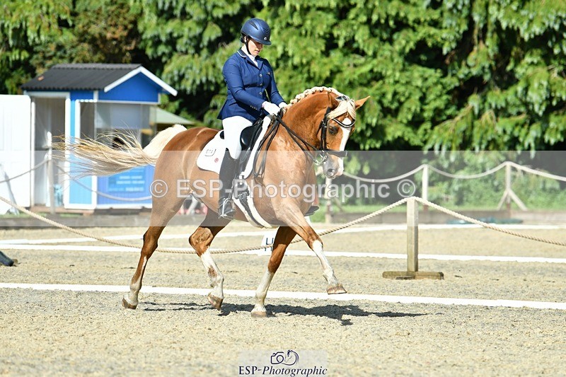 230623-165407-02921 - Cls 9 Advanced Medium 91Q