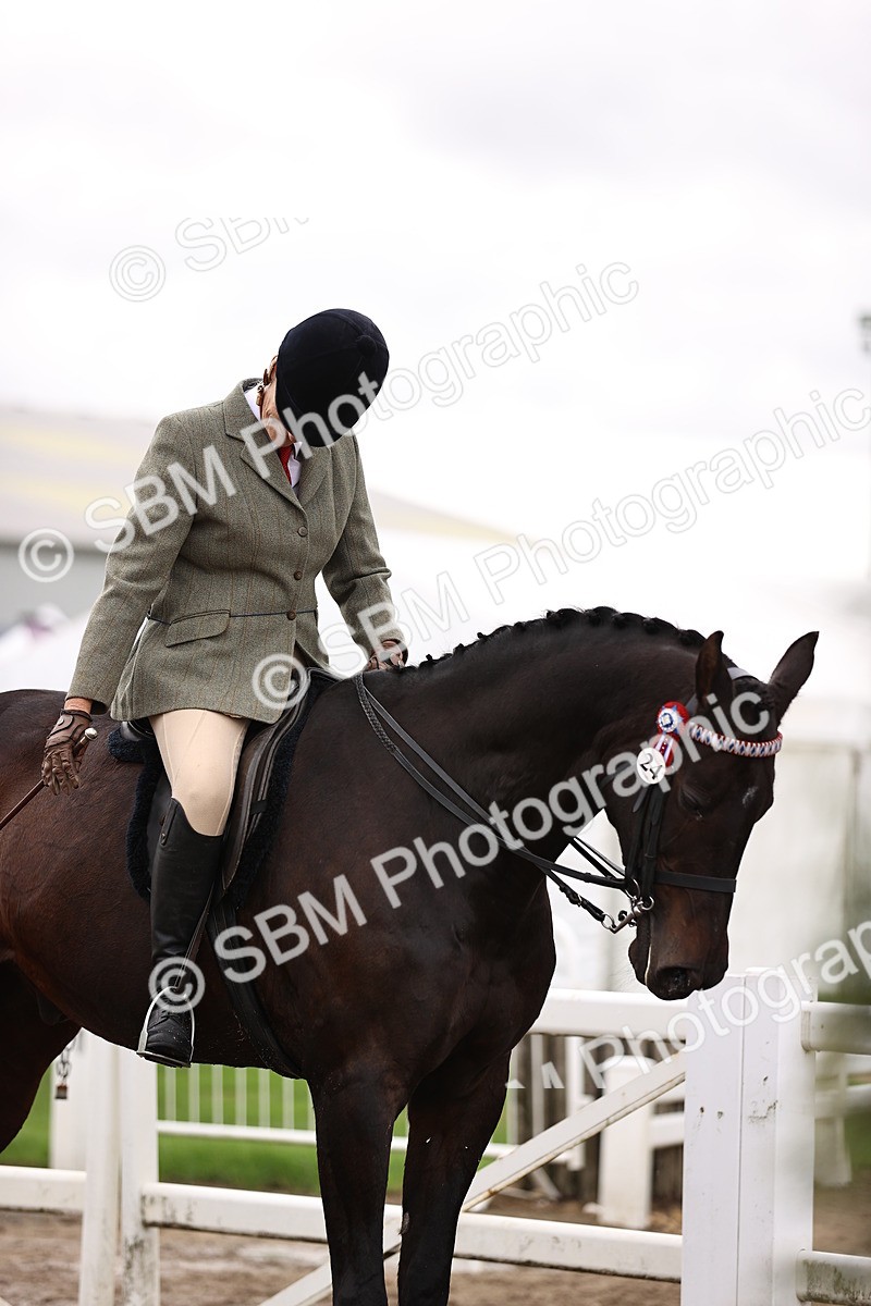 SBM_00638 - Class 53 - Ridden Competition Horse Pony