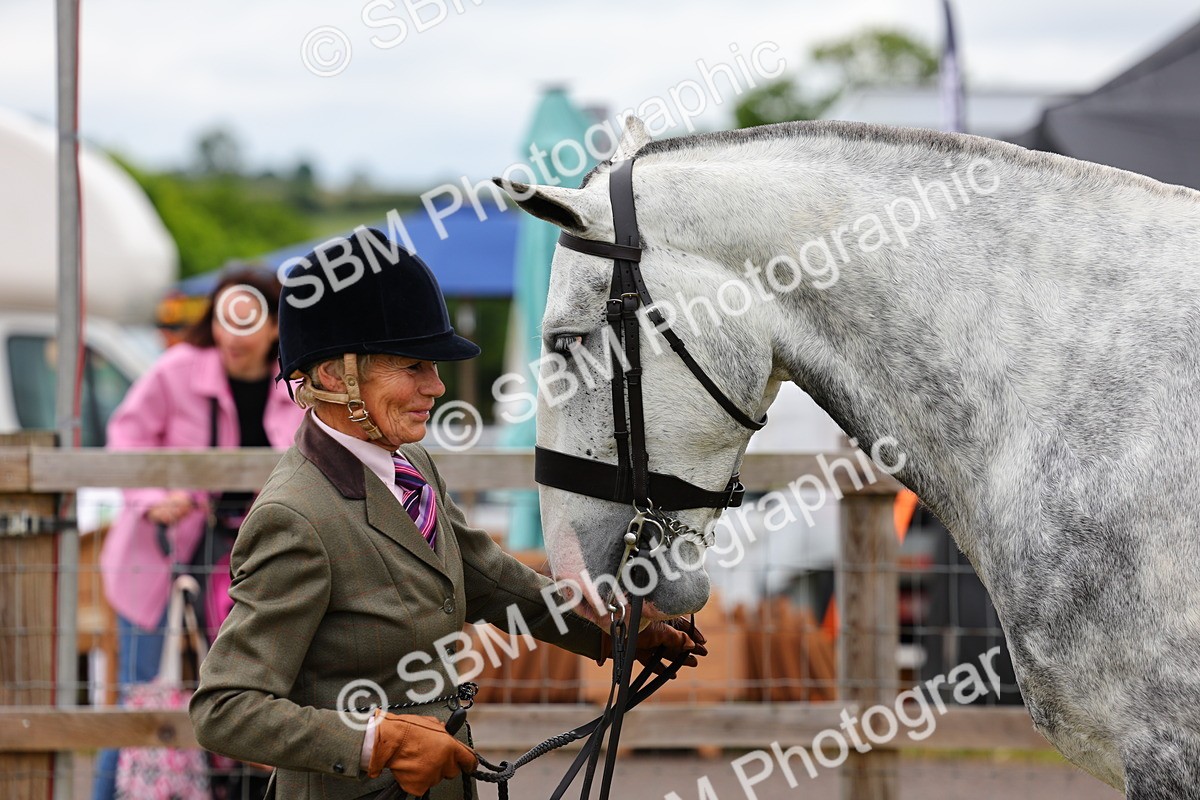 SBM_02545 - Class 9-11 Side Saddle including LIHS Rising Star Ladies Show Horse