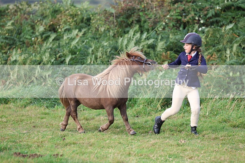 3E7A3191 - Class 12: M & M Small Breeds