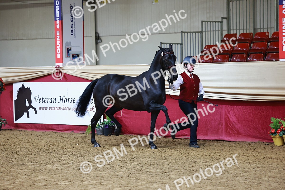 SBM_22159 - Class 902 - Supreme Final - IH Diamond