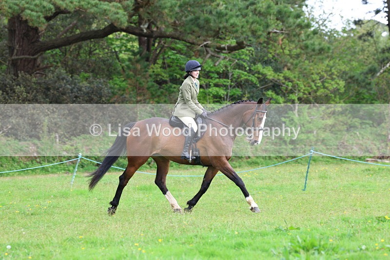 3E7A2495 - Classes 30 and 31: 80cm Working Hunter