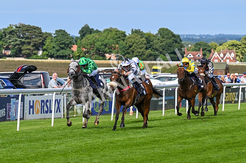 160724-Race 6-Blufferonthebus-9428 - Race 6