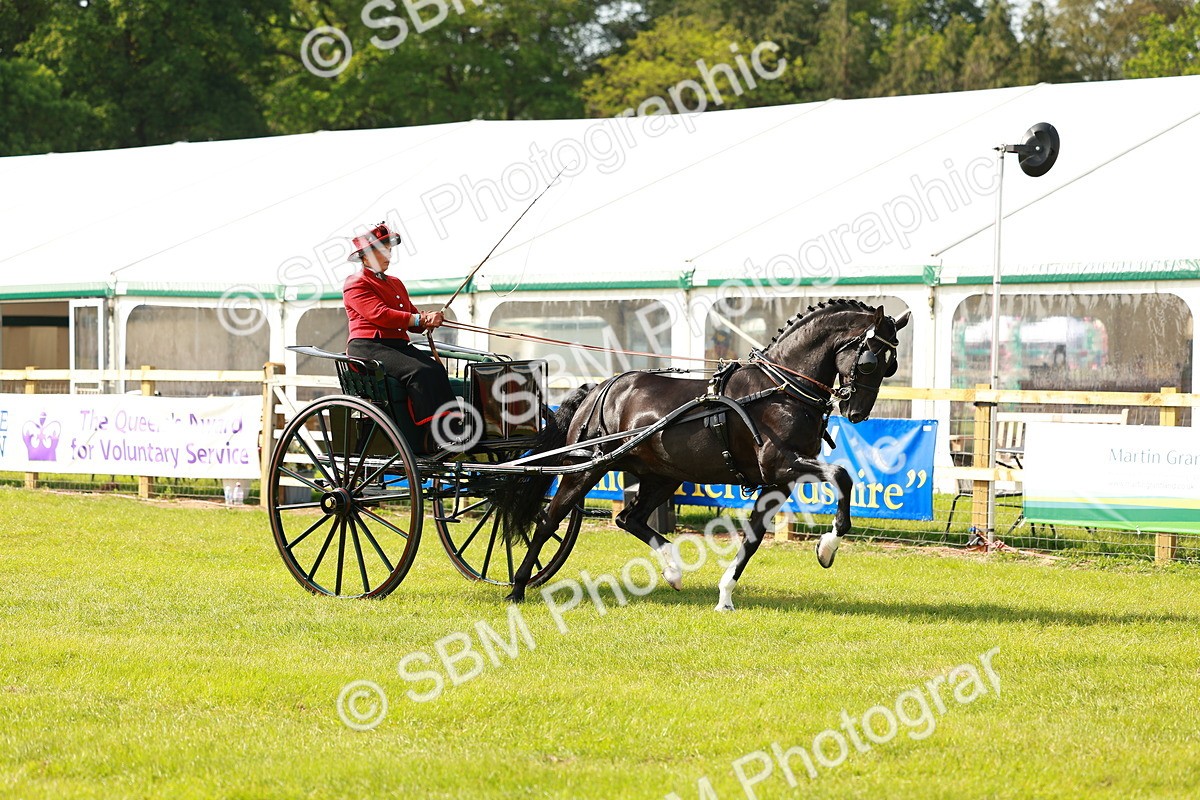 SBM_01181 - Class 2-4 - HOYS Private Driving