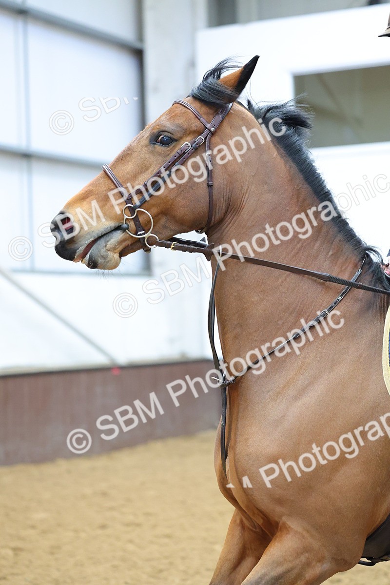 SBM_002682 - Class 8 - Senior Newcomers - 1.10m