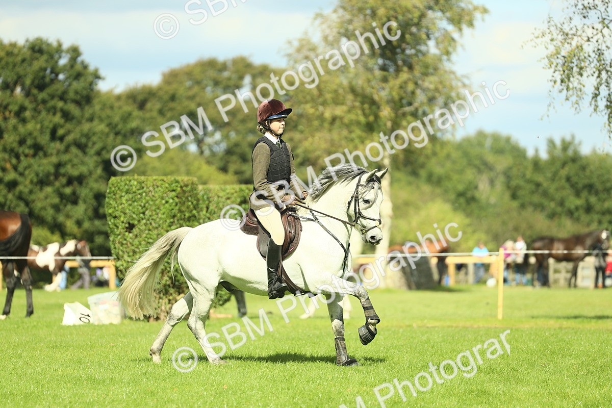 SBM_42938 - S30 - M&M Working hunter Pony