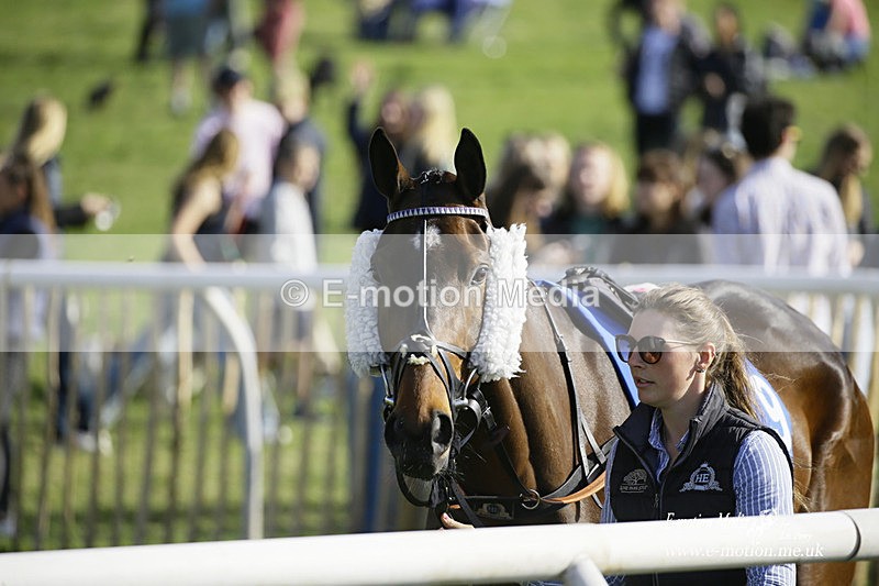PtP 180422 314 - Old Berkshire PtP Lockinge 18/04/22