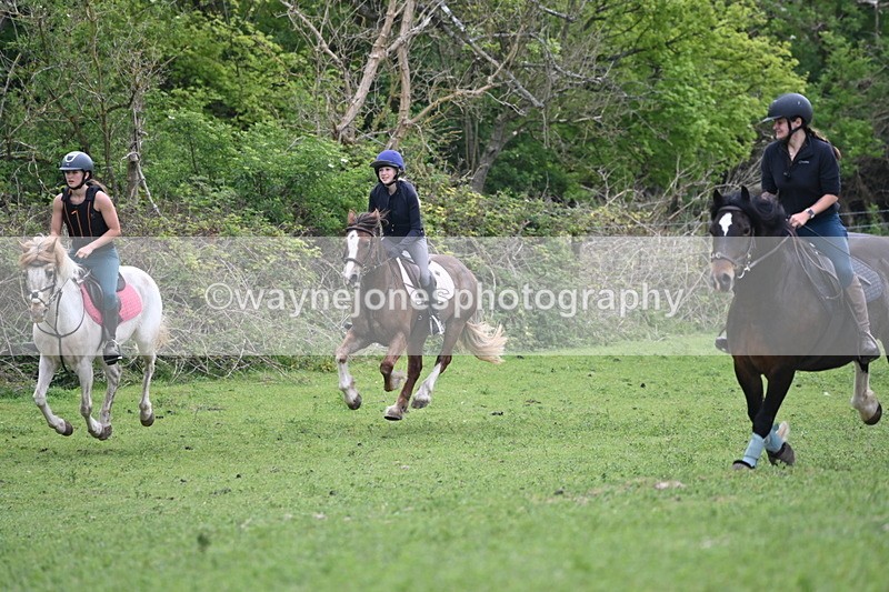 WJ6_3291 - A camera