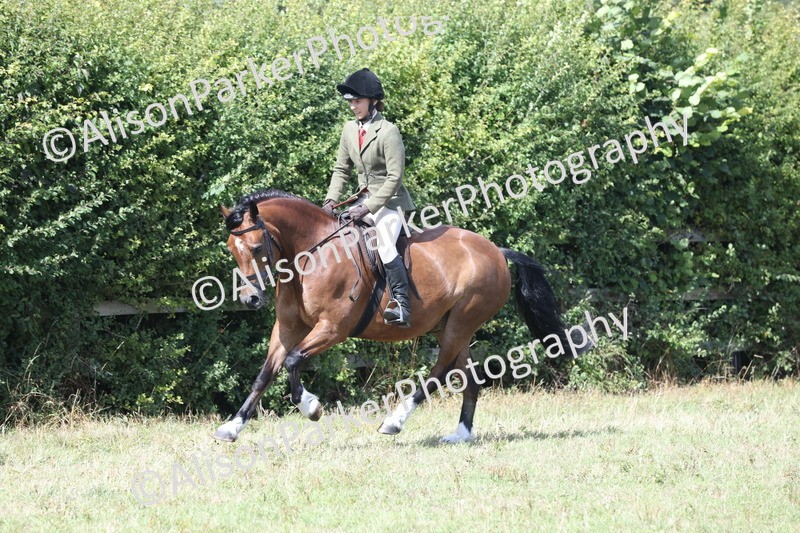 20250831-2947 - Class 19 - Mountain and Moorland