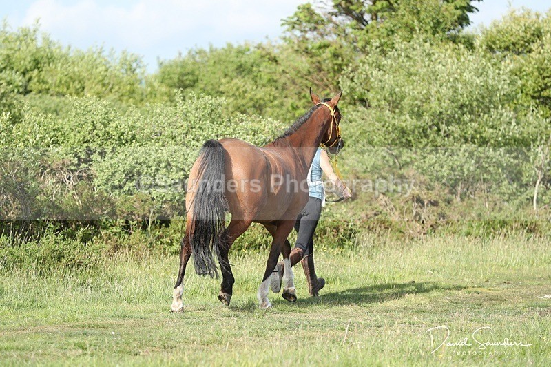SPXX0134 - Friday vetting