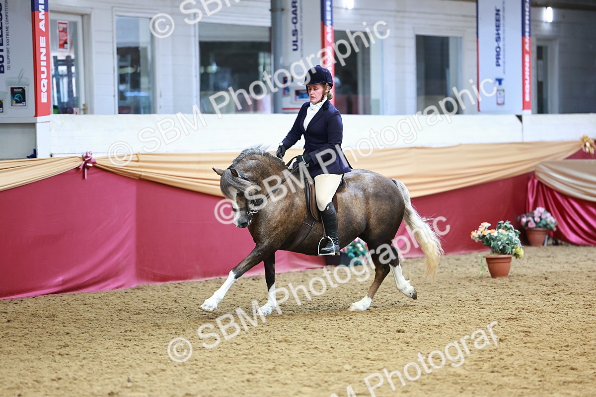 SBM_23773 - Class 905 - Supreme Final - Ridden Veteran