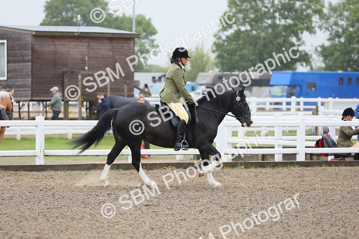 SBM_20075 - Class 802 - Ridden Groom - Helpers class
