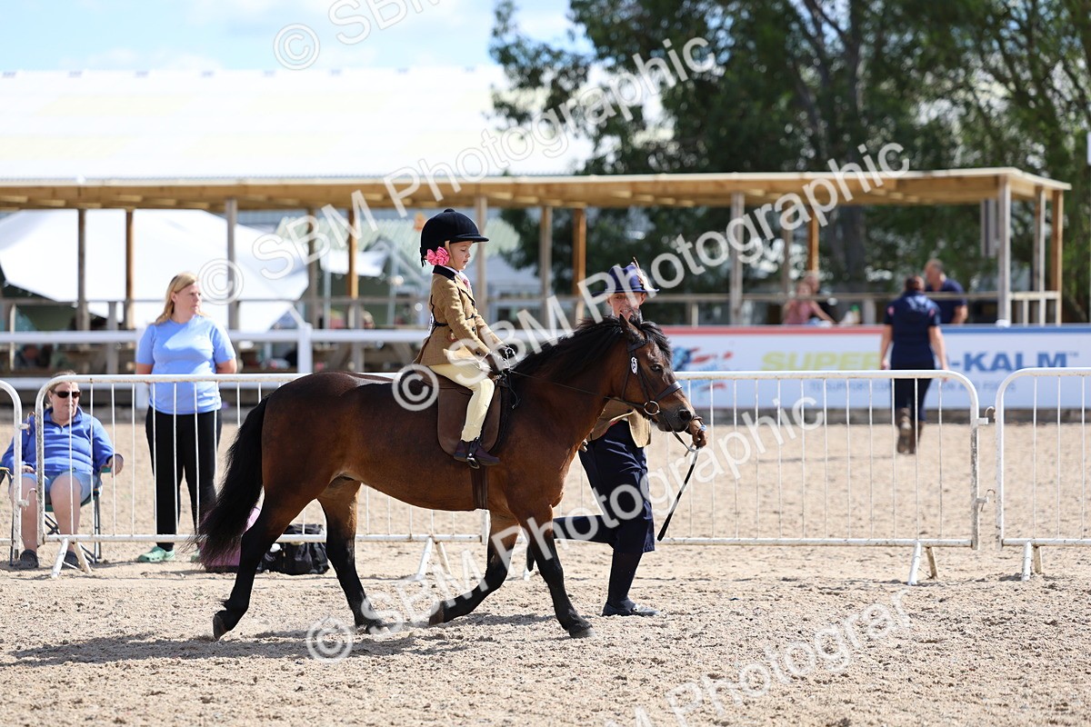 SBM_13057 - Class 309 - Lead Rein Pony