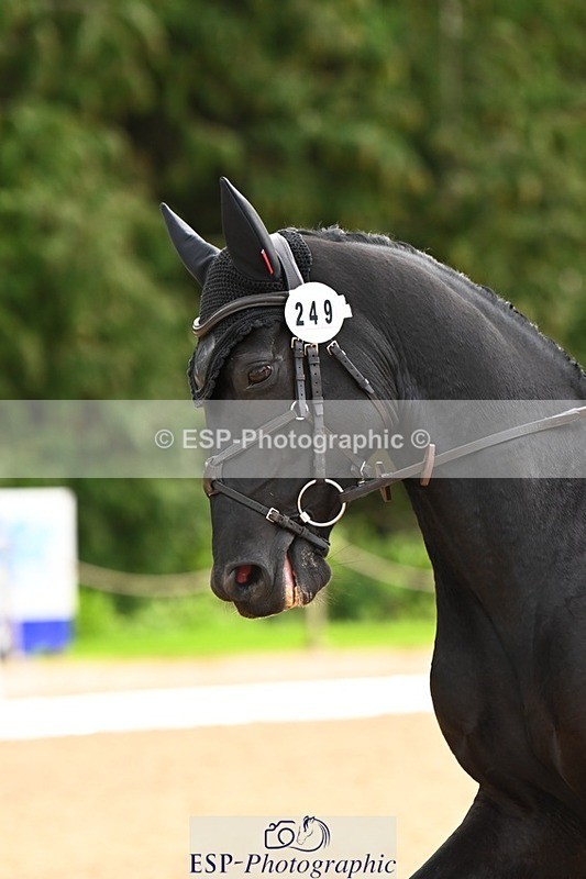 231021-140203-18615 - 249-GRANIT.DES.IRIS-lily.brennan-DR