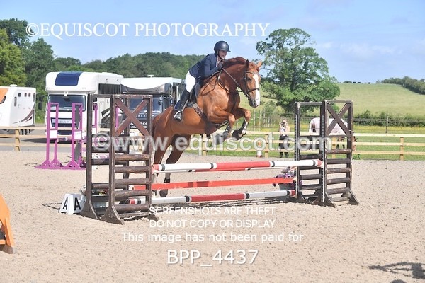 BPP_4437 - CLASS 2  Club/ Unaffiliated 80cms Open