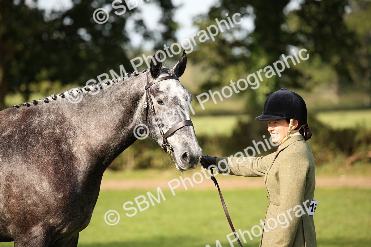 SBM_60092 - S53 - Hunter In Hand