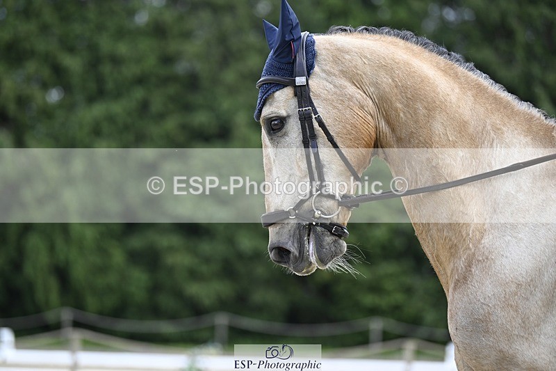 240523-133326-04815 - 109-MJM_BOBBY_DAZZLER-Rosie_Ringer