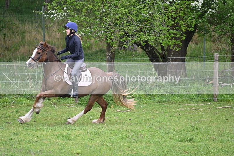 WJ6_3382 - A camera