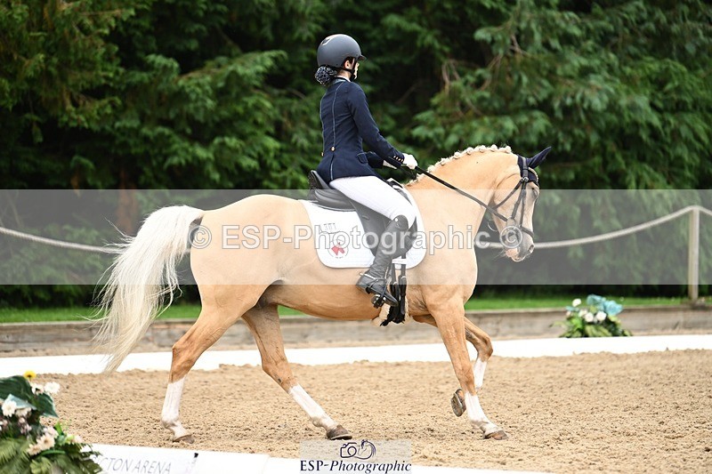 240811-122753-05833 - 301-Sophia.Longworth-Don.Deluxe