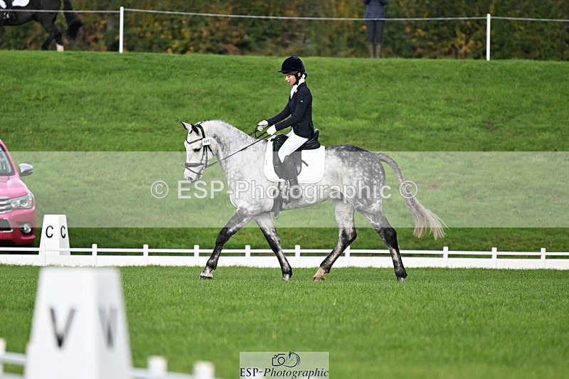 251023A-104505-02586 - G-509-Millie.Bloomfield