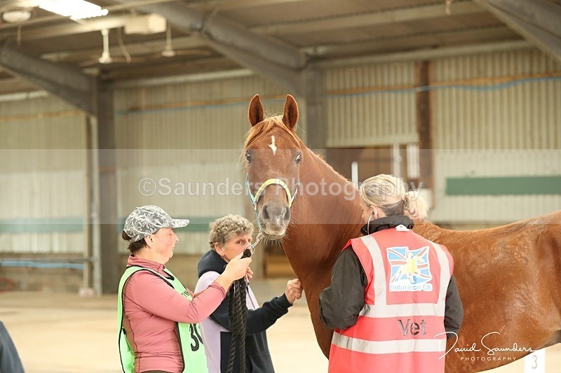 SPXX3545 - Vetting