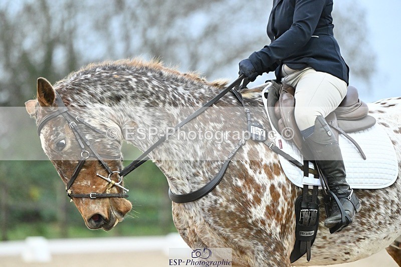 241103-160018-03289 - Novice 1 - 14.44 to 16.08