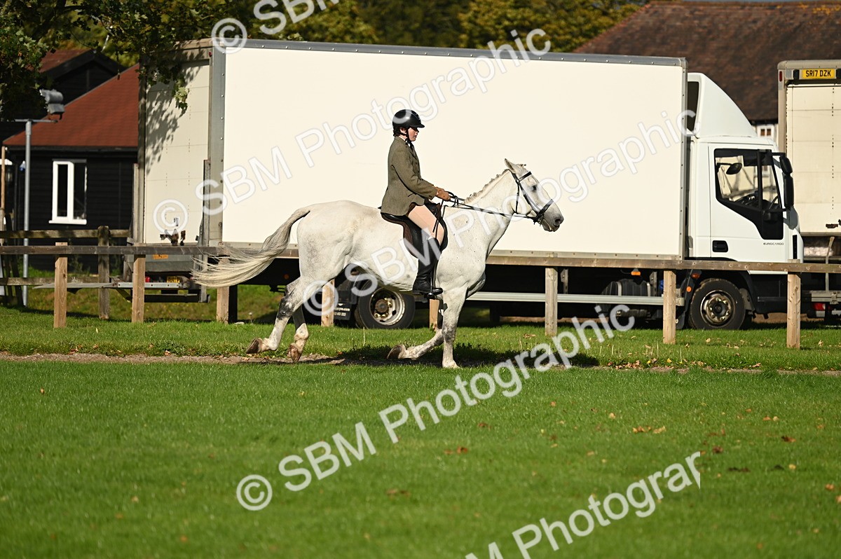 SBM_26446 - S6 - Novice & newcomer Ridden horse