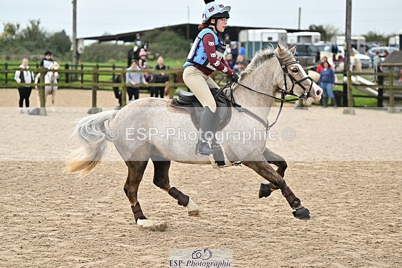 241110-120141-00568 - 50-55cm Arena Eventing