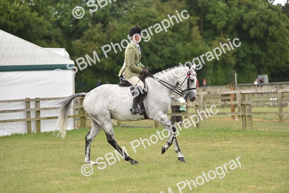 SBM_15145 - Class 113-114 - Retraining of Racehorses Ridden