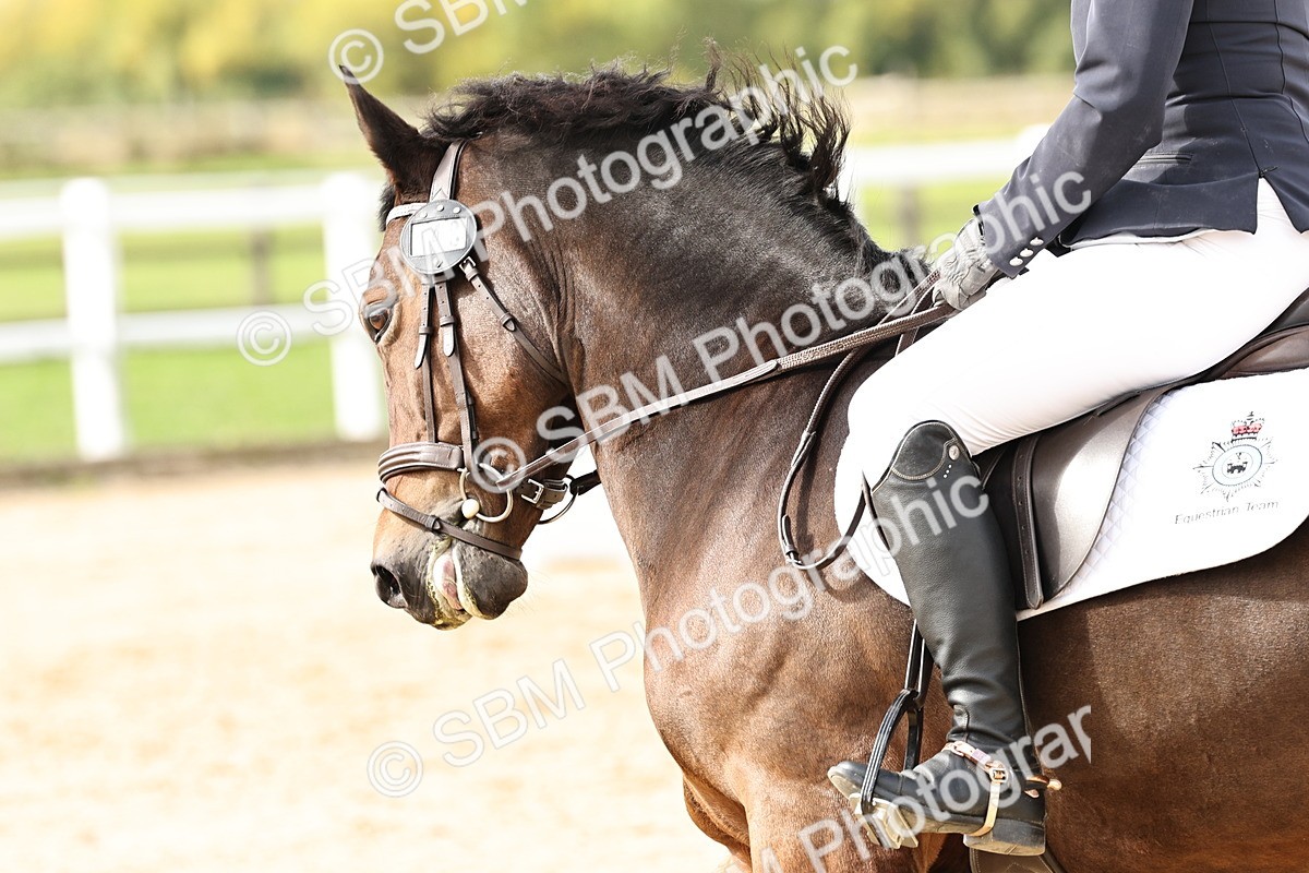 SBM_004659 - Class 69 - Novice 2