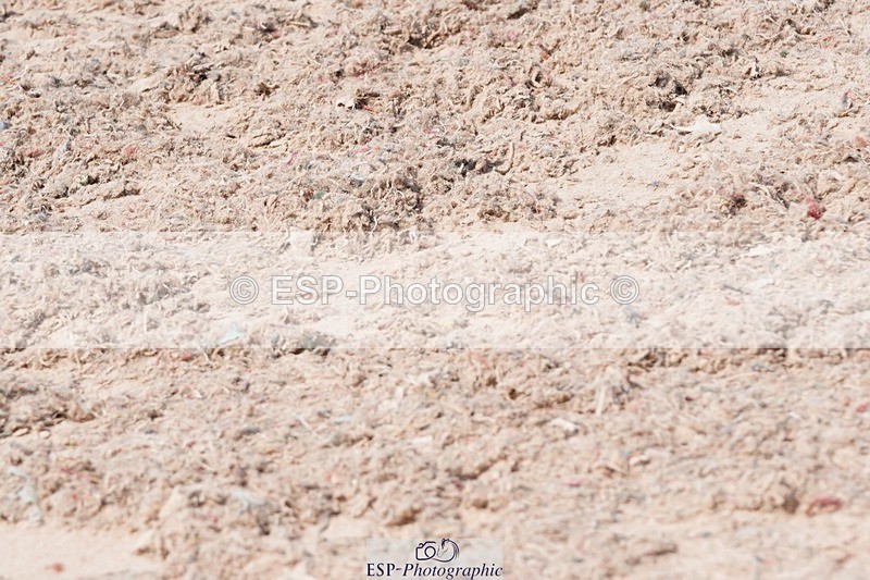 250503-111102-00623 - Cls 19+20 Club and Schools 70cm