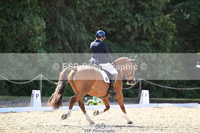 260731A-111423-00278 - Elementary Bronze 10.30 - Break