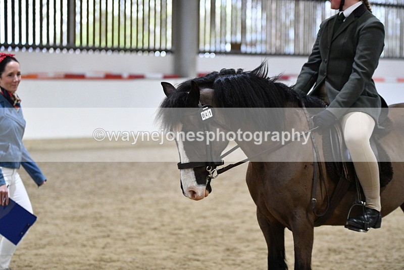 WJ5_7223 - Class 11 Ridden PC - RC Pony