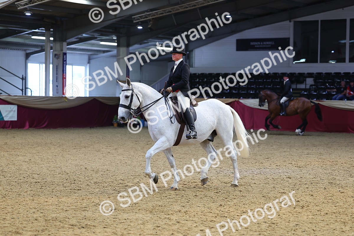 SBM_24380 - Class 906 - Supreme Final - Ridden Pre Vet