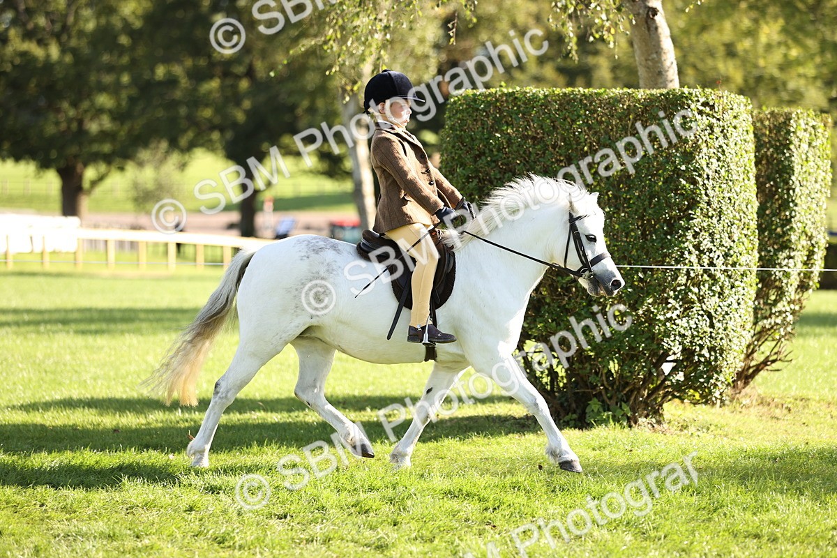 SBM_29347 - S7 - Novice & Newcomers Ridden Pony