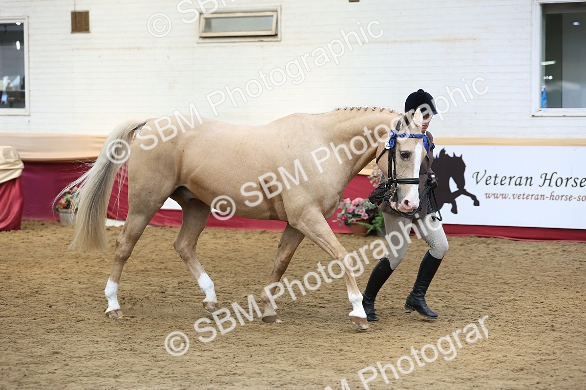 SBM_24094 - Class 905 - Supreme Final - Ridden Veteran
