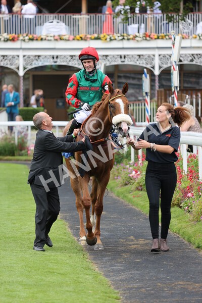 yr24072021r7-65 - Race 7 5.35pm The Sporting Life Fast Results Stakes